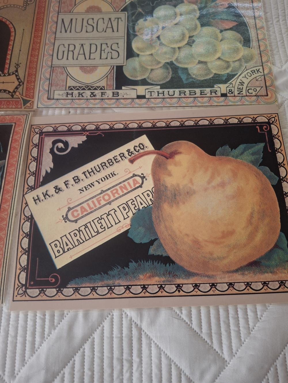 Thurber And Co. Metropolitian Musuem Of Art Reproduction Canning Label Placemats